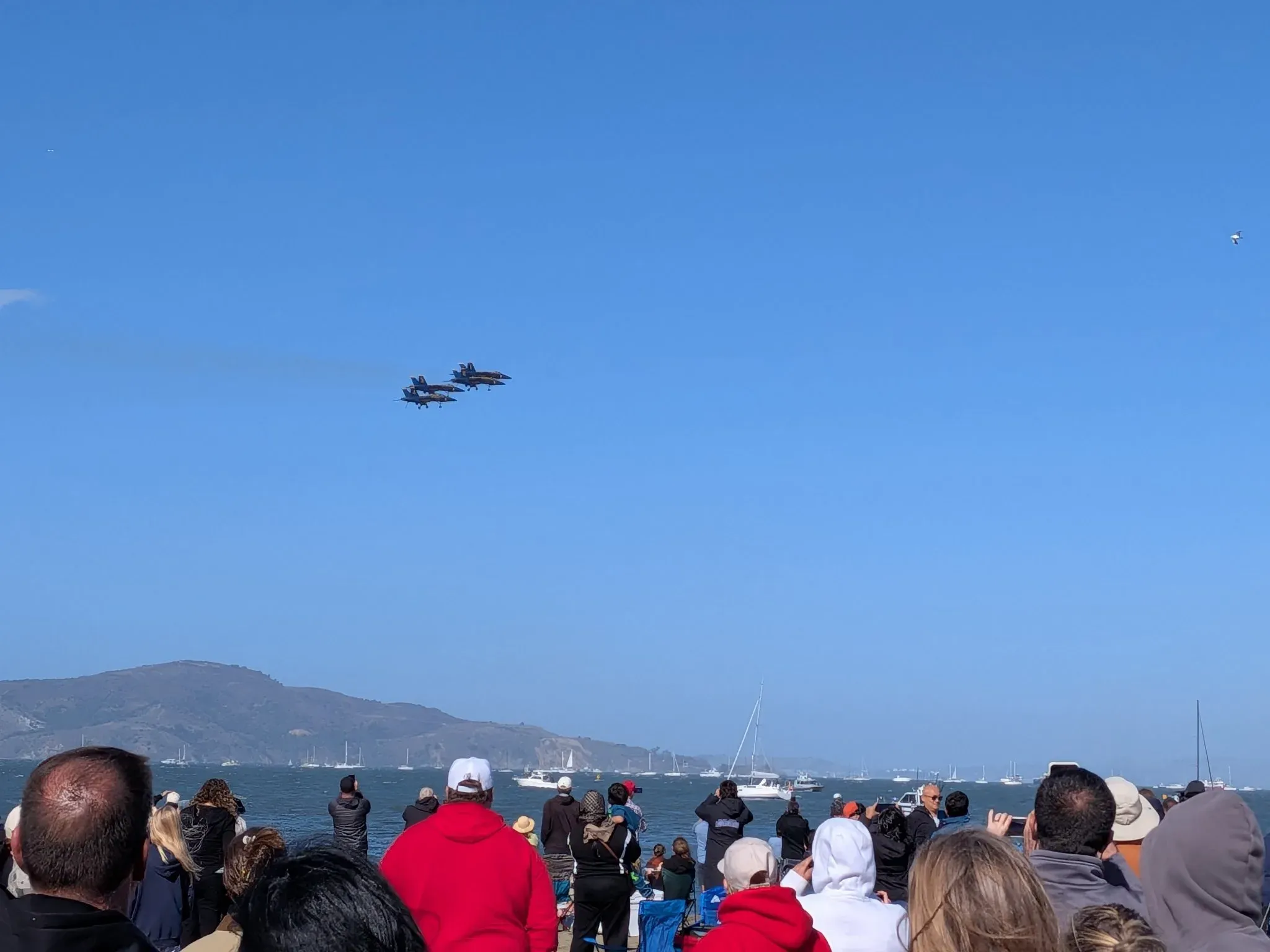 Blue Angels over the bay